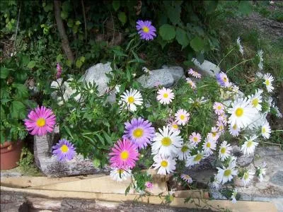 Quelle est cette composition ?