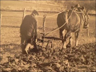Qu'est une terre meuble ?