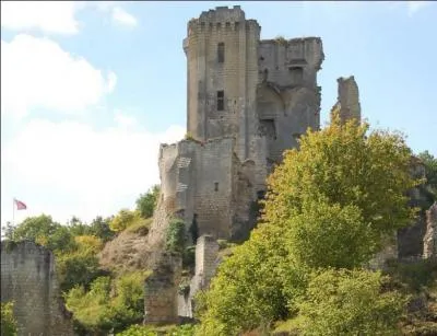 Situé au pays de Ronsard, quel est ce magnifique village du Loir-et-Cher qui a su conserver son château-fort qui a traversé les siècles sans perdre son aspect puissant ?