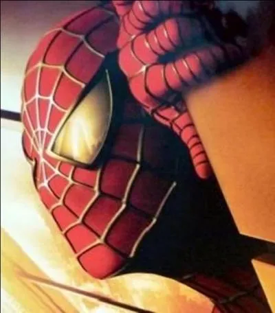 Cette photo de Spider-man, film de Sam Raimi, sorti en 2002, offre-t-elle une particularité ?