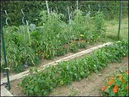 P : pour le passe-pieds qui obéit à des règles précises dans le jardin.