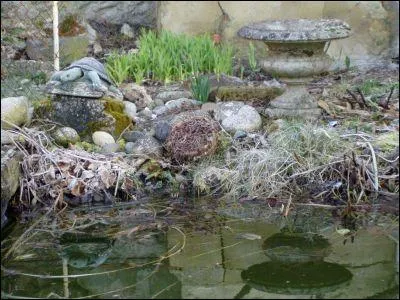 H : pour des plantes qui doivent être mises au repos.