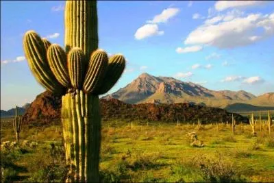 Où se situe ce paysage ?