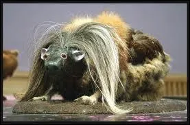 Est-ce que cet animal existe ?