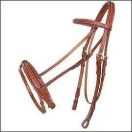 Qu'est-ce que c'est ?