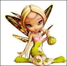 De quelles couleurs sont les fées des Elfées ?