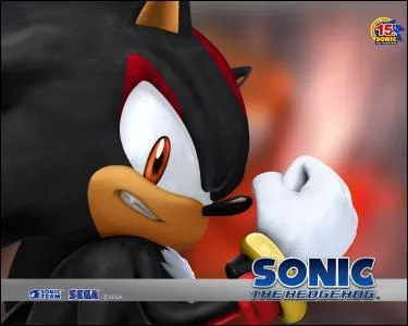 Ce hérisson noir s'appelle :