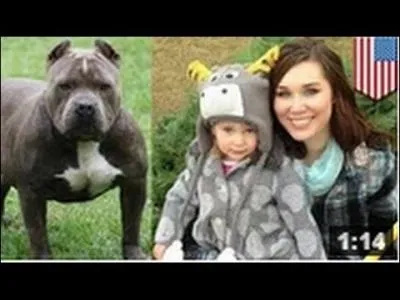 Ce petit garçon a échappé à la mort grâce à un chat, trouvez l'espèce du chien !