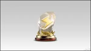 Pouvez-vous cocher les courses relatives à cette coupe ?