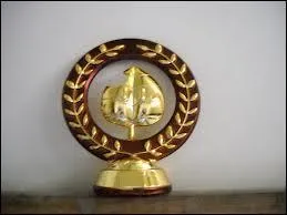 Pouvez-vous cocher les courses relatives à cette coupe ?