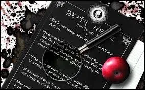 Laquelle de ces règles n'apparaît pas dans le "How To Use It" du manga ?