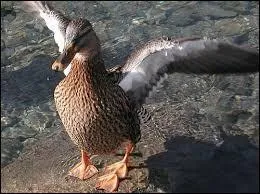 Que vous inspire cette image ? Indice : Expression populaire très connue.