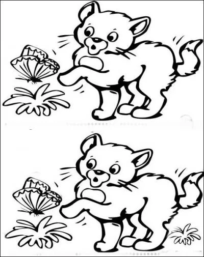 Que remarquez-vous sur ce dessin ?