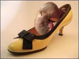 Que vous inspire cette image ? Indice : Expression populaire très connue.