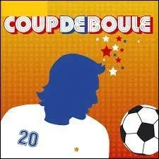 Ah, la Coupe du monde 2006 ! Le coup de boule de Zidane, la coupe qui passe sous le nez de la France. Bref, tout ce qu'il faut pour être déçu, cependant un groupe choisit l'humour pour retracer cette histoire avec sa chanson "Coup de Boule". Quel est le nom de ce groupe ?