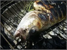 Détenir des yeux d'une créature écailleuse et panée !