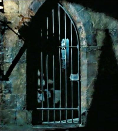 Voici la cellule où croupit Sirius, en attendant le bisou du Détraqueur. Heureusement qu'Hermione arrive et (fra)casse le portail en s'écriant :