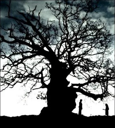 Le second, celui de l'arbre :