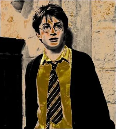 Harry, l'ami des professeurs. D'accord, il va boire le thé avec Hagrid, parce que celui-ci l'a délivré des Dursley. Mais cette année, pourquoi Harry passe-t-il tellement de temps avec :