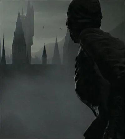 De qui le Détraqueur semble-t-il être le cousin ?