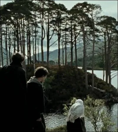 Cette île en arrière-plan aura un rôle capital à jouer dans un prochain film HP. Lequel ?