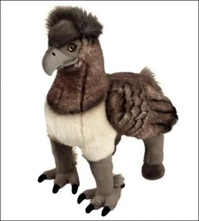 Dans la scène du premier cours de soins aux créatures magiques, dans la clairière, que pouvez-vous remarquer si vous gardez les yeux rivés sur Buck ?