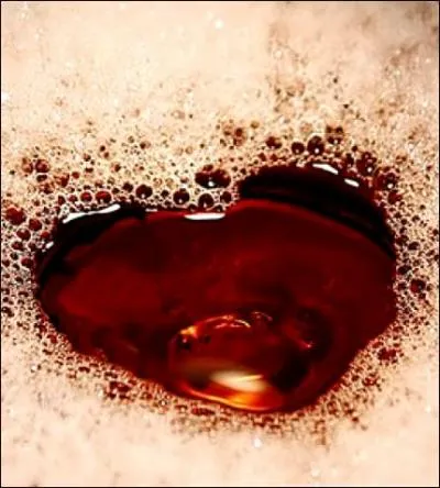 « Tu sais quel homme tu es vraiment, Remus Le vrai Remus est dans ce cur ! Là, dans ce cur ! »