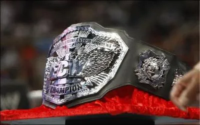 Quel est le nom de cette ceinture ?