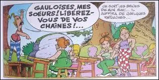 "La Rose et le Glaive" : quelle proposition concernant Maestria est fausse ?