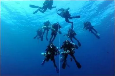 Lors d'une plongée courte en eaux peu profondes sans palier (par exemple 1/2 heure à 25 mètres), quelle est la vitesse maximum de remontée à la surface ?