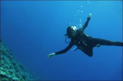 A quoi est due "l'ivresse des profondeurs" que certains plongeurs peuvent rencontrer à partir de 40 mètres de profondeur ?