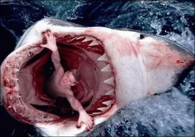 Dans une zone fréquentée par les requins, deux des comportements ci-dessous sont des facteurs de risque accru. Lequel ne l'est pas ?