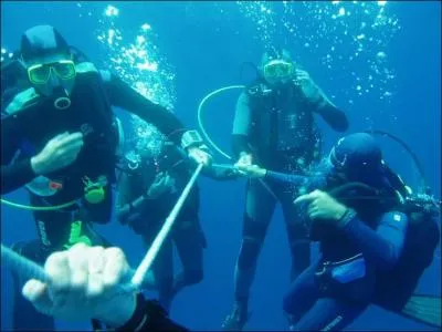 Comment appelle-t-on un groupe de plongeurs en évolution sous l'eau ?