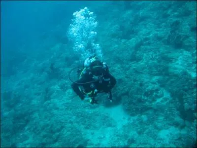 En plongée sous-marine, qu'appelle-t-on la flottabilité nulle ?