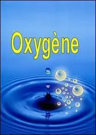 Quel compositeur-interprète possède le record du monde du nombre de spectateurs dans un seul concert ?