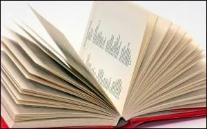 Quels sont les 5 mots français nouveaux en 2014 ?