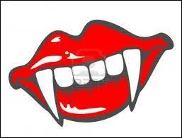 Quel est le rôle des canines ?