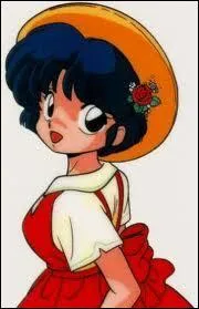 Tend Akane : parmi ces trois informations, laquelle est correcte ? ('Ranma 1/2')