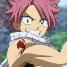 Natsu Dragnir : choisissez l'information qui est bonne. ('Fairy Tail')