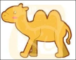 Quel est cet animal à deux bosses ?