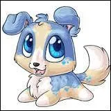 Quel est cet animal de compagnie ?