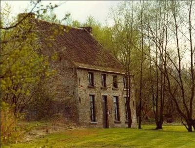 En 1878, Van Gogh obtient une mission d'évangéliste en Belgique, où s'installe-t-il ?