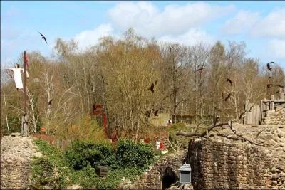 Comment est appelée cette attraction ?