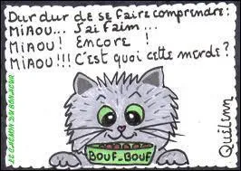 Pour terminer, comment appelle-t-on les habitants de la commune de Saint-Léonard-de-Noblat en Haute-Vienne ?