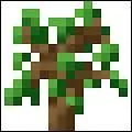 Quel arbre n'existe pas dans Minecraft ?