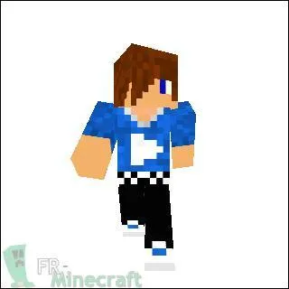 Pour cette question on sort des blocs et on rentre dans le domaines des Youtubers. Qui est ce personnage ?