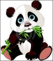Quelle est la nourriture du panda ?