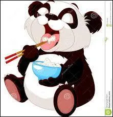 De quelle famille sont les pandas ?