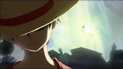 Qui a appris le Haki à Monkey D. Luffy ?