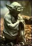 Qui est le maître de Yoda ?